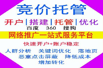 提高托管SEM竞价ROI的实战技巧